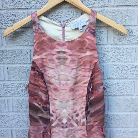 Joy Cioci Brooke Pink Print Silk Dress - Picture 4 of 8